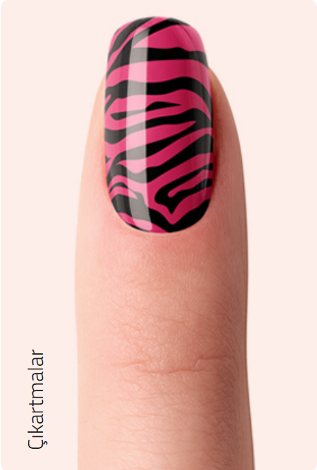 Çıkartmalı Zebra