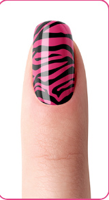 Çıkartmalı Zebra