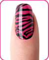 Çıkartmalı Zebra